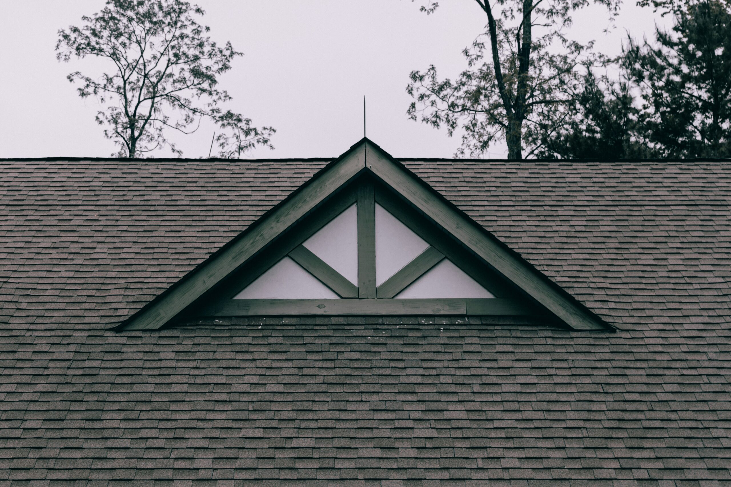 y m tnhksnzpxd8 unsplash